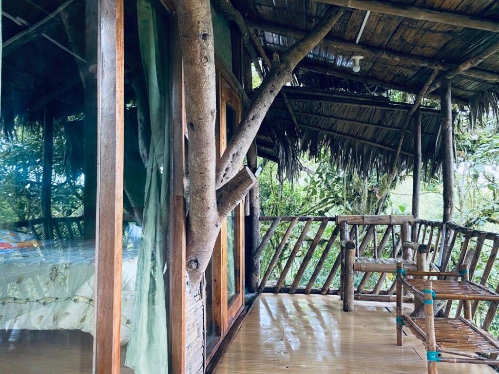 הוילה מינדו Eden Treehouse מראה חיצוני תמונה