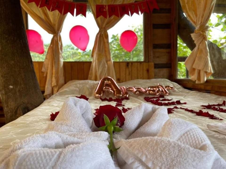 הוילה מינדו Eden Treehouse מראה חיצוני תמונה