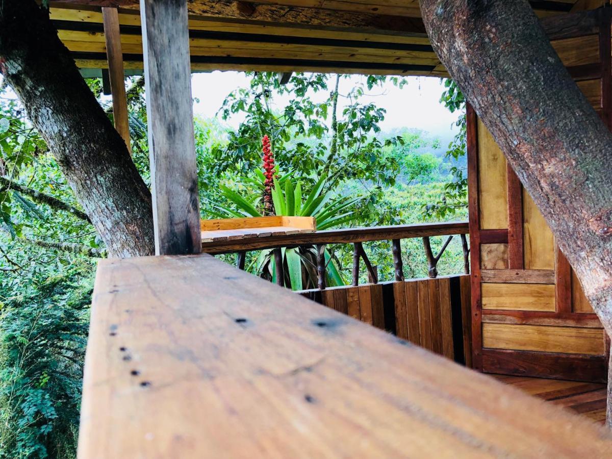 הוילה מינדו Eden Treehouse מראה חיצוני תמונה