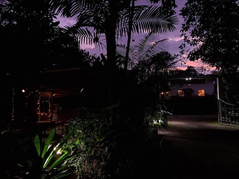 הוילה מינדו Eden Treehouse מראה חיצוני תמונה