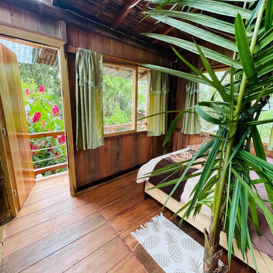 הוילה מינדו Eden Treehouse מראה חיצוני תמונה