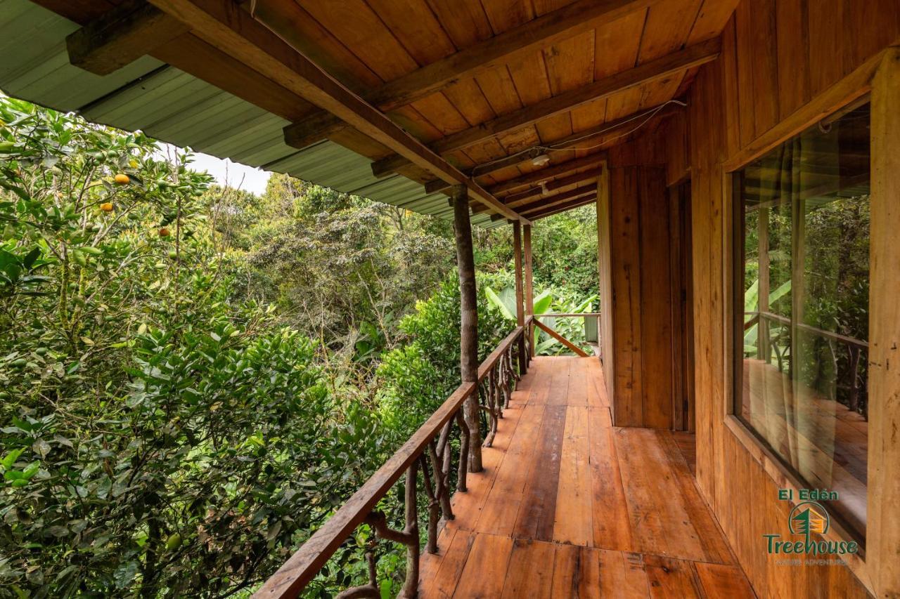 הוילה מינדו Eden Treehouse מראה חיצוני תמונה