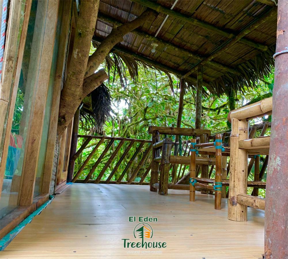 הוילה מינדו Eden Treehouse מראה חיצוני תמונה